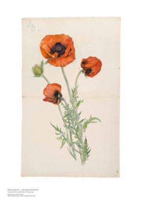 Hilma af Klint - Poppy 70x100cm poster