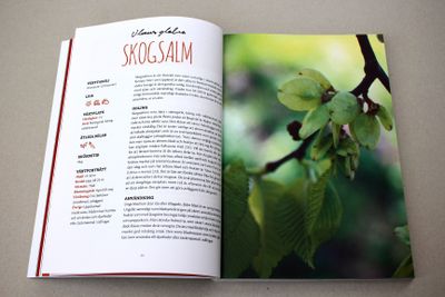 flerariga-gronsaker-skogsalm