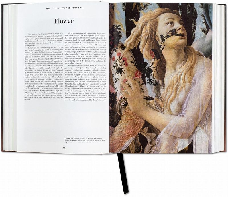 The Book of Symbols, Taschen