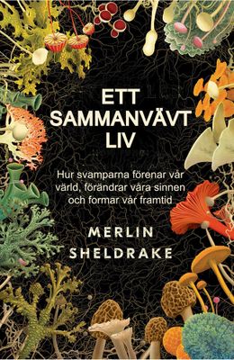 Ett sammanvävt liv