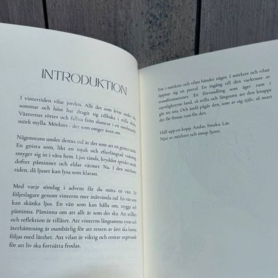 Adventskalender Örternas Advent - Hantverk