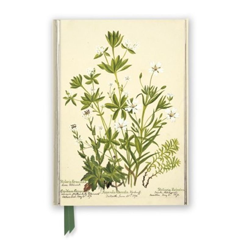 Anteckningsbok MEDIUM Stitchworts, Woodruff and Pepperwort , A5