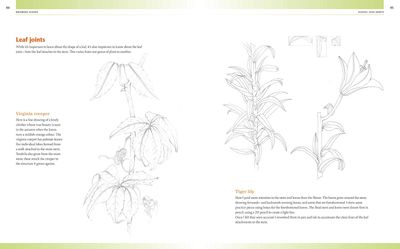 Drawing & Painting Flowers- Målningsguide