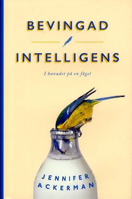 Bevingad Intelligens I huvudet på en fågel