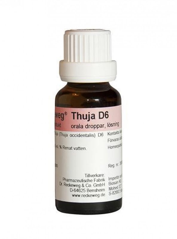 Thuja D6 22 ml