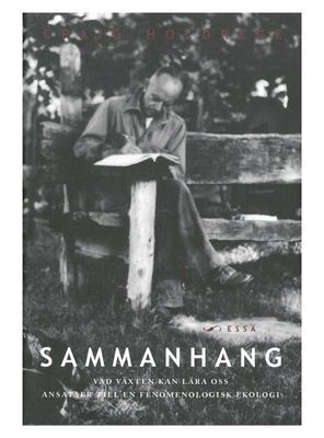 Sammanhang