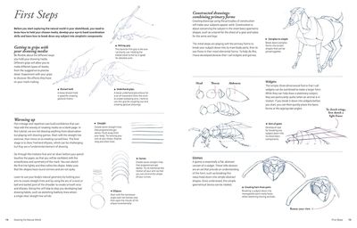Drawing the Natural World-Målningsguide