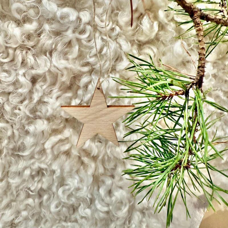 Julgranshänge STJÄRNA NATUR i trä