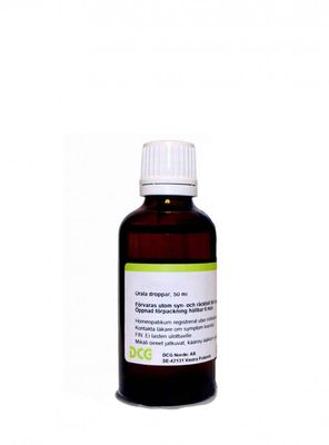 ARNICA MONTANA Dilution D6 50ml droppar