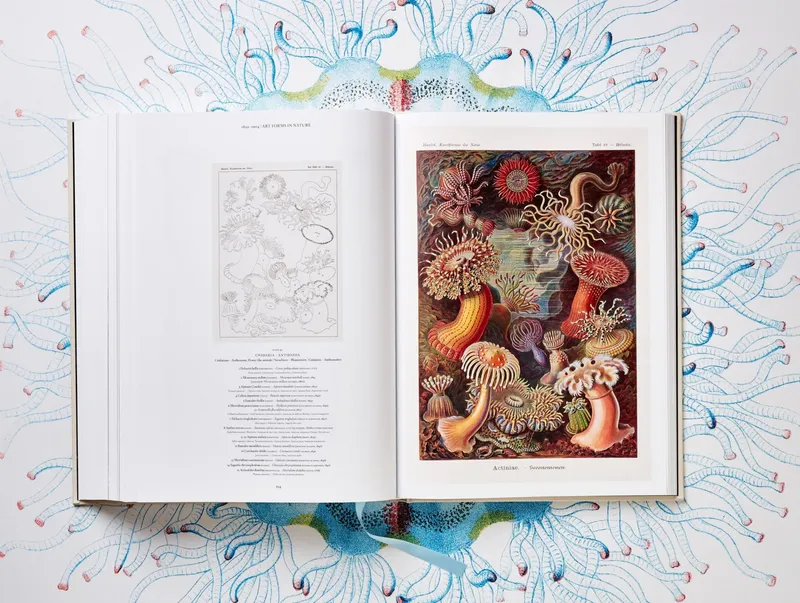 The Art and Science of Ernst Haeckel