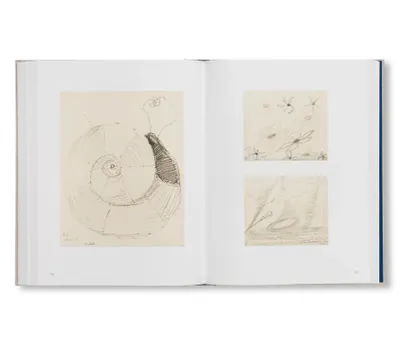 Hilma af Klint : Spiritualistic Drawings (1895-1910) - Kurt Almqvist & Daniel Birnbaum