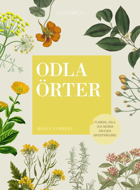 Odla Örter: planera, odla & skörda din egen kryddträdgård!