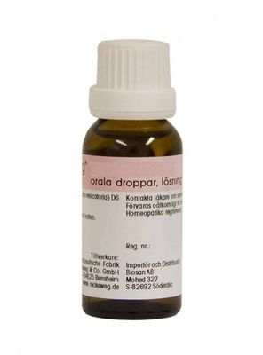 APIS MELLIFERA D6 22ml