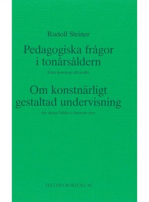 Pedagogiska frågor i tonårstiden, Rudolf Steiner