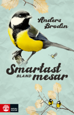 Smartast Bland Mesar, Anders Brodin