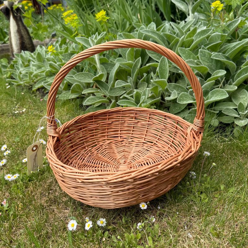 Korg Rundbotten
