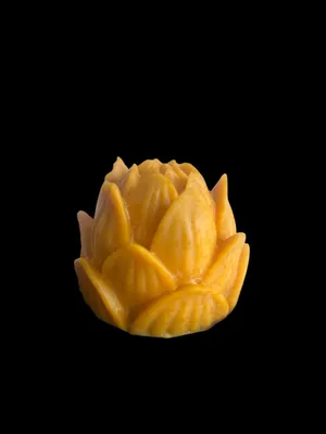 Disktvål GUL LOTUS citrus/ingefära