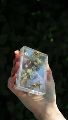 Ängsfälla -Blomsterpress liten