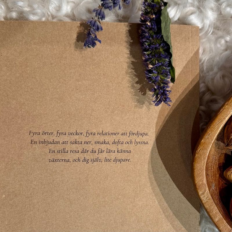 Adventskalender Örternas Advent - Hantverk