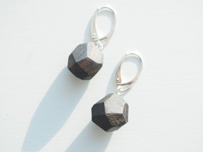 Örhängen Midnight - Silver & Svartek