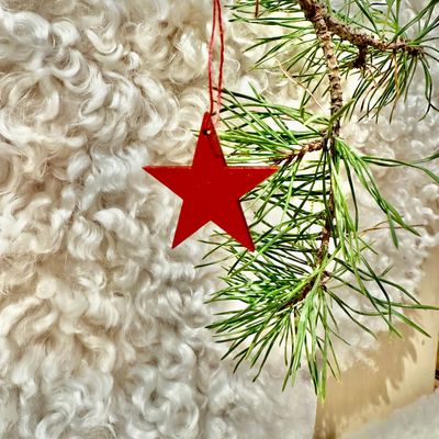 Julgranshänge STJÄRNA RÖD i trä