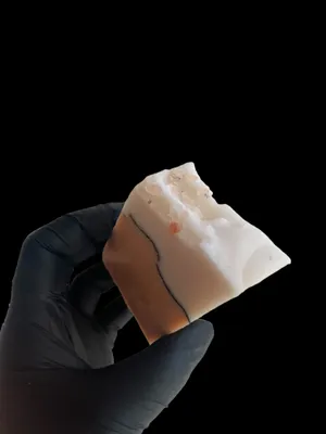 saltste