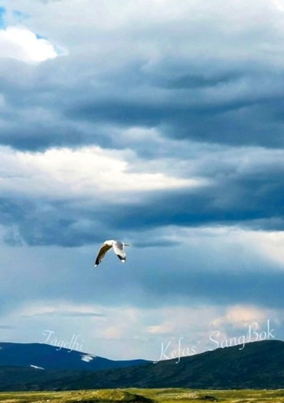 Fågelfri : Kefas´ sångbok - Kefas Berlin