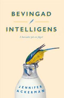 Bevingad Intelligens I huvudet på en fågel