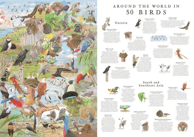 Pussel 1000 bitar Around the world 50 Birds