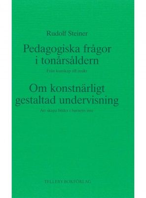 Pedagogiska frågor i tonårstiden, Rudolf Steiner