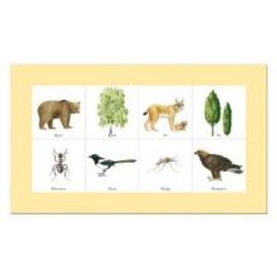 forsta-naturlotto (1)