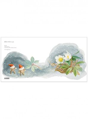 Julkort julros Helleborus nigra 15x15 cm  Maj Fagerberg