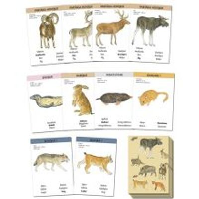 vilda-djur-kortspel (1)