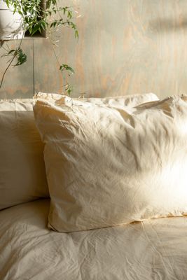 418209_crinkle_sunnyyellow_paslakan1