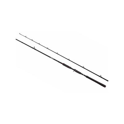 Abu Garcia Beast Pike 842XH 40-140g Casting - Spinn