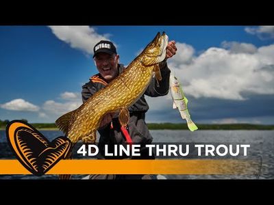 Savage Gear 4D Line Thru Trout 30cm 303g Sinking