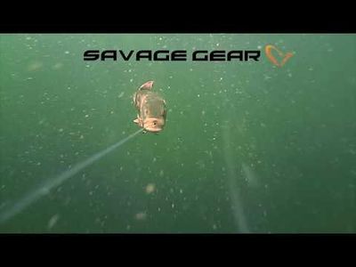 Savage Gear 4D Line Thru Pike 37cm 355g Slow Sink