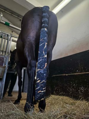 Långt Svansskydd Marble
