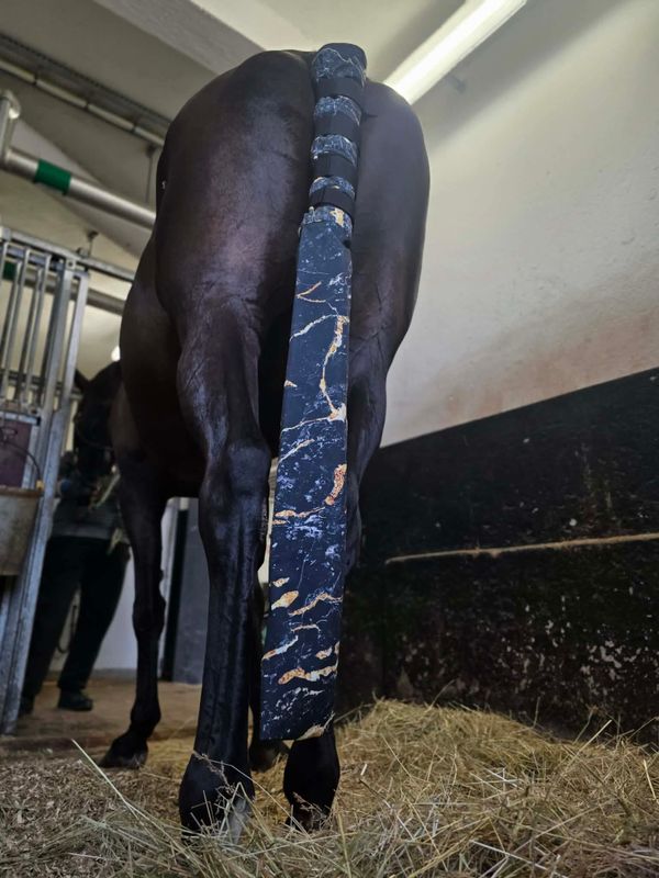 Långt Svansskydd Marble