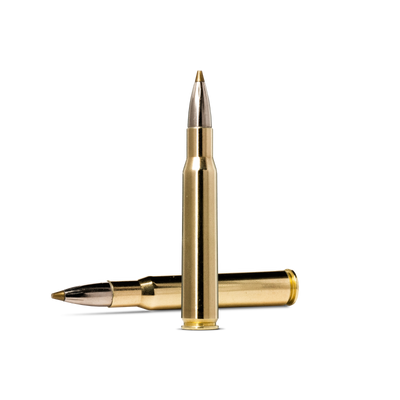 Norma Evostrike 30-06