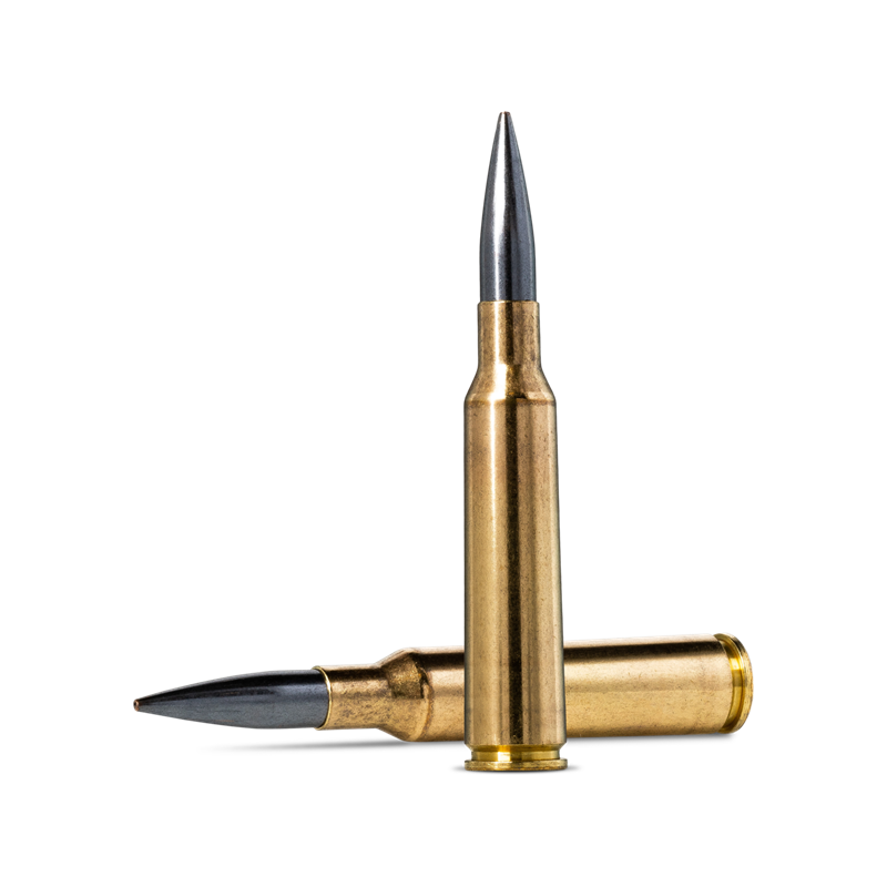 Norma 6,5 x 55 DL Bana