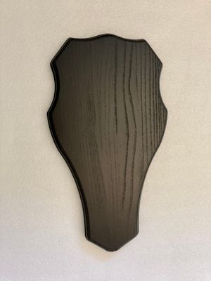 Trofésköld Svart