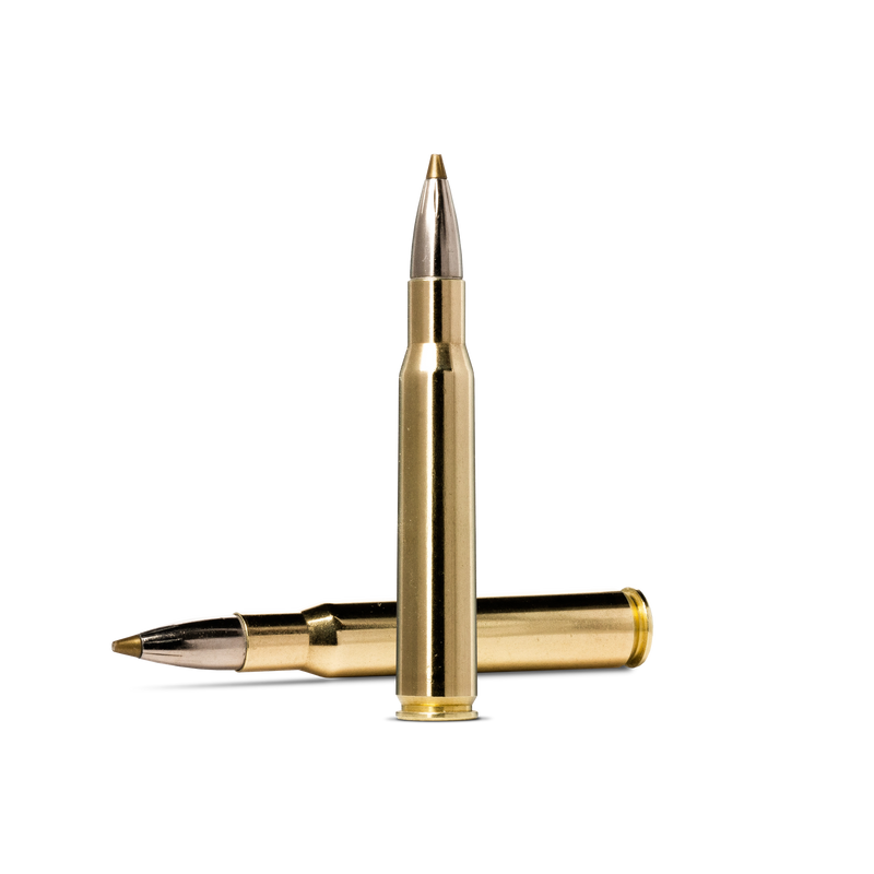 Norma Evostrike 9,3 x 62
