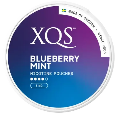 XQS Blueberry Mint Strong