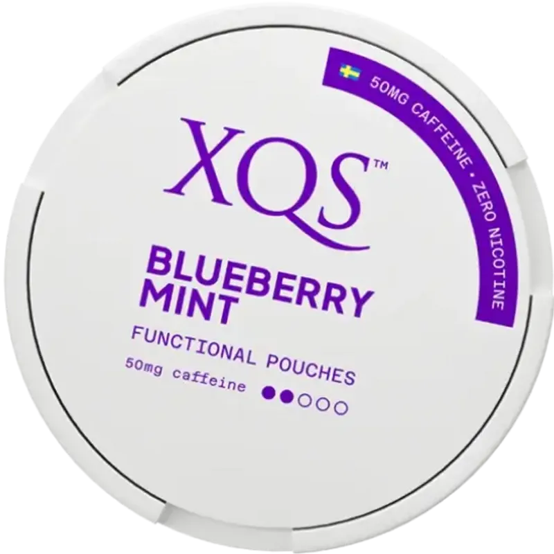 XQS Blueberry Mint Zero
