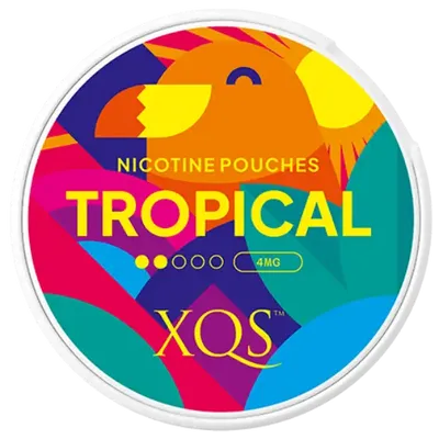 XQS Tropical Light