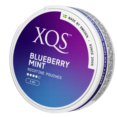 XQS Blueberry Mint Strong