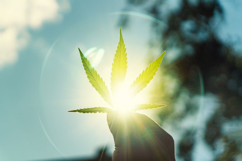Snus und Marihuana: Eine gefährliche Kombination?