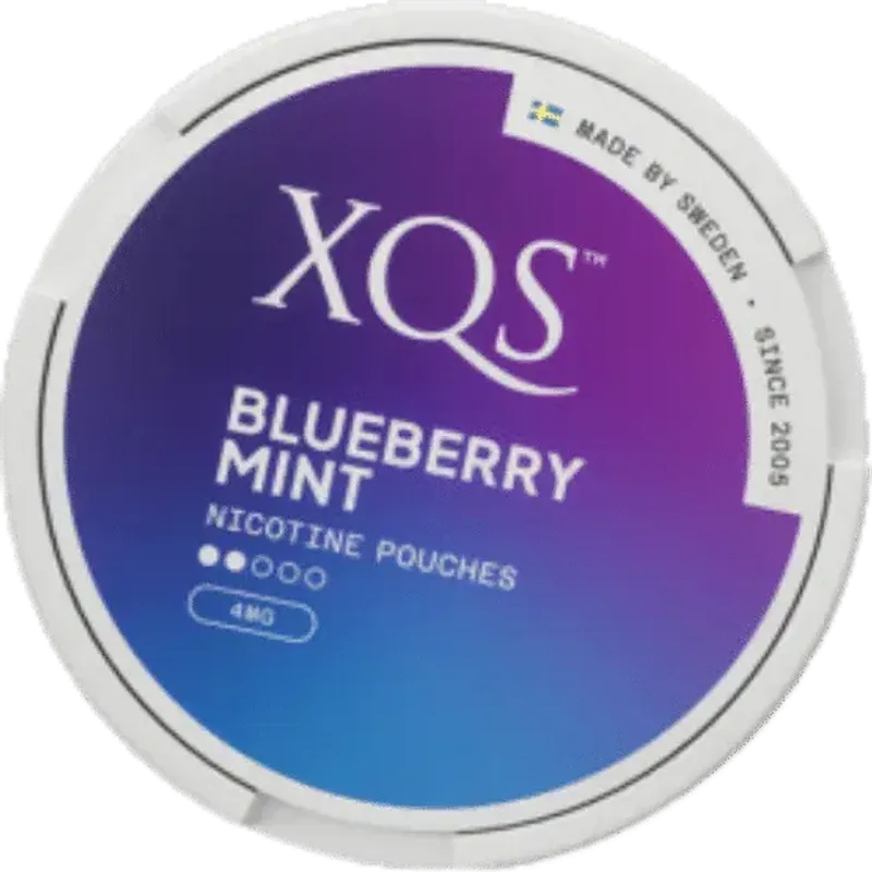 XQS Blueberry Mint Light