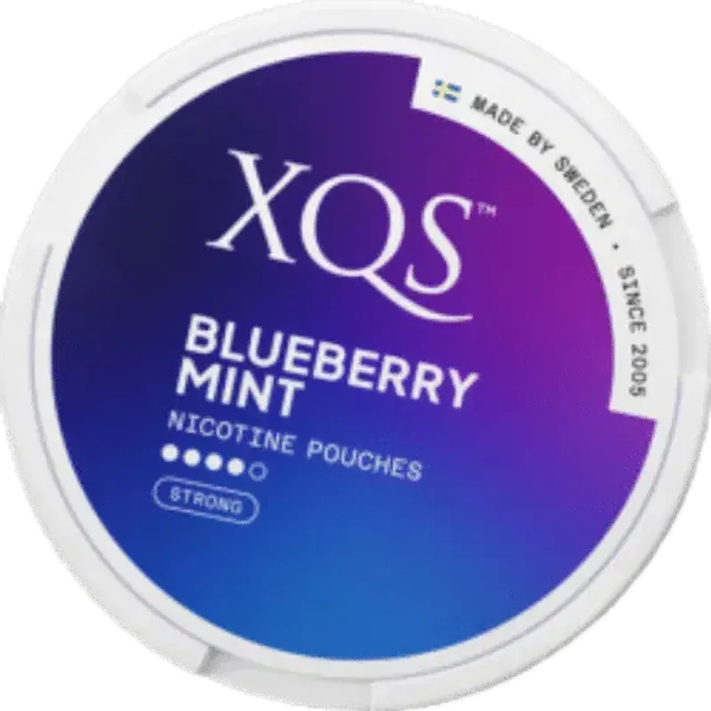 XQS Blueberry Mint Strong